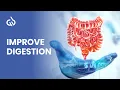 Digestion Frequency Improve Digestion Get Rid of Digestive Problems