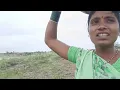Download Lagu हानम्या बाजार ला गेला ना येताना पावत्या आण म्हणजी कळलं किती गबाळ दाबलं आम्ही 😭 #गावठीपुनम