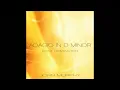 Adagio In D Minor - Remastered Version 2012 (John Murphy) - HD