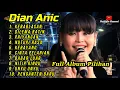Download Lagu DIAN ANIC FULL ALBUM LAGU LAGU PILIHAN TERBARU  KEBABLASAN
