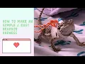 How to make a bearded dragon harness