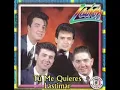 GRUPO LADRON   CADA VEZ QUE TE VAS.wmv