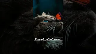 ارفع ايدك فوق بالانجليزي 