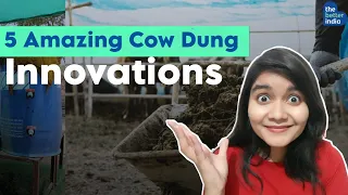 Paint Made from Cow Dung? || Green Technology || Bio Energy || Renewable Resources image