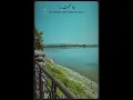 Download Lagu Mohabbat tujhe alvida ost @hanizahra2327
