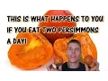 THIS IS WHAT HAPPENS TO YOUR BODY IF YOU EAT TWO PERSIMMONS A DAY