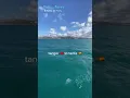 Download Lagu Ferry Tanger To Tarifa | Morocco Travel 2023