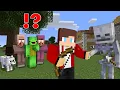 Download Lagu JJ made Friends with Skeleton in Minecraft ?!