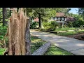 Storm brings down 11 trees in Conyers yard