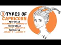 Different Types of Capricorn Personality Understanding Capricorn Decans