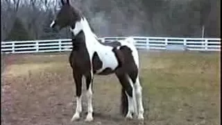اغنيه هانت العشره عليهم لعشاق الحزن دندنها