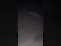 Fisher Cat SCREAMING in My Backyard The Most UNBELIEVABLE Wildlife sounds