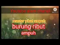 Download Lagu suara burung ribut 100%ampuh👍👍👍👍🏞⛰