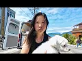 Download Lagu Vanlife on Vancouver Island Was...Unexpected