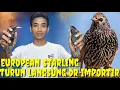 Download Lagu AKHIRNYA READY JUGA ! SATU2NYA KIOS YG PUNYA BURUNG INI \