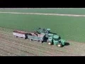 Grimmway Farms carrot harvest 2016