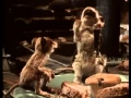 Download Lagu The Mouse \u0026 the Motorcycle - Beverly Cleary