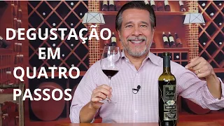 APRENDER A DEGUSTAR VINHO COMO OS ESPECIALISTAS.