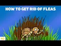 Download Lagu Say Goodbye to Fleas for Good: Proven Methods for Eliminating Fleas