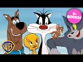 Lagu Classic Cartoon MARATHON 📺 | Tom \u0026 Jerry, Looney Tunes, and Scooby-Doo! MEGA COMP ⭐️ | @wbkids