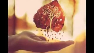 اغنية قمر سيدنا النبي مصطفى عاطف YouTube 