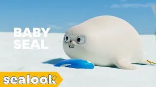 Download Teeny Tiny Tough Baby Seal! | Baby Seal Special | SEALOOK | Episodes Compilation MP3