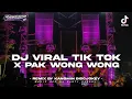 Download Lagu Dj Viral Tik Tok X Pak Wong Wong Spesial Joget Karnaval