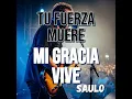 SAULO  SILBO APACIBLE LETRA
