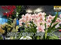 Download Lagu 【4K HDR Orchidee】Lente Orchidee Show 2025