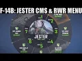 F-14B Tomcat AI Jester CMS RWR Menu Tutorial DCS WORLD