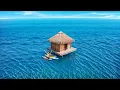 Download Lagu Stranded on a Floating House for 24 Hours!