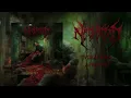 Download Lagu Neglected  - Voracious Appetite (Promo single)