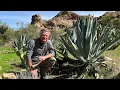 What I Discovered At The Boyce Thompson Arboretum - Wow