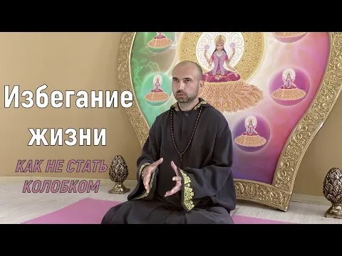 избегание жизни image