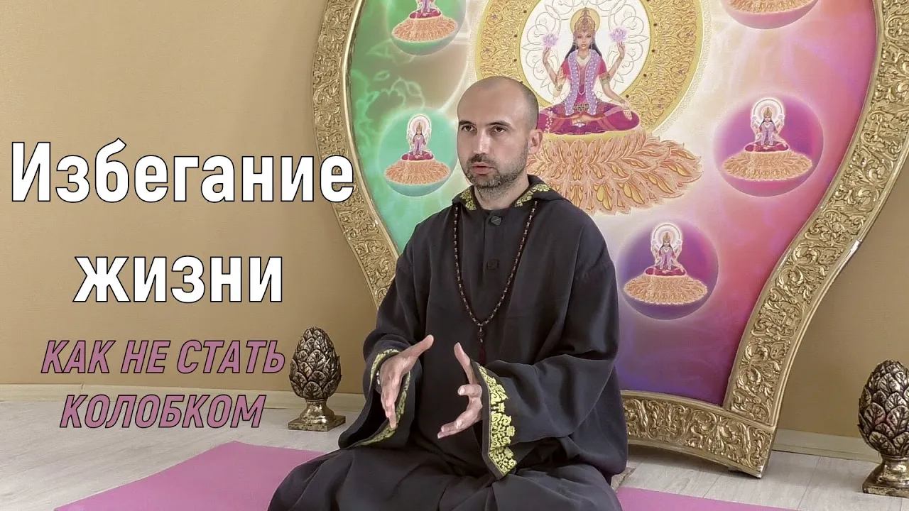 course избегание жизни image