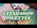 Lagu MY EYESHADOW PALETTE COLLECTION 2025! | Over 300+ Palettes! 😳