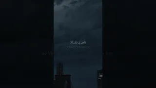 ق ال ر ب إ ن ی ظ ل م ت ن ف س ی محمد صديق المنشاوي سورة القصص نهاوند 