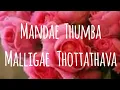 Download Lagu MANDAE THUMBA MALLIGAE THOTTATHAVA BADAGA SONG