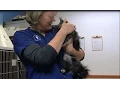Okanogan Valley Vet Clinic with Dr Susan Baillie