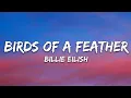 Download Lagu Billie Eilish - BIRDS OF A FEATHER (Lyrics)