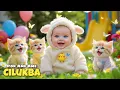 Download Lagu Pok Ame Ame Cilukba 👶✨ Bayi dan Kucing Lucu Yang Bikin Gemes! - Lagu Anak Balita Indonesia Populer MP3