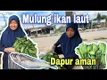 Download Lagu REZEKI SAYUR DAN IKAN GEMBUNG⁉️ SATU MINGGU TIDAK BELI SAYUR