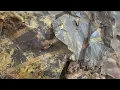 Ben Harper - Time Has Told Me (Official Film)