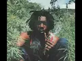 Peter Tosh-Nah Goa Jail