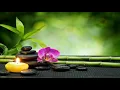 Download Lagu Greatest Buddha Music Of All Time : Buddhism Songs, Buddhist Meditation Music For Positive Energy
