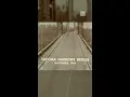Tacoma Narrow Bridge Collapse