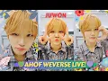 Download Lagu [ALL SUB] AHOF JUWON WEVERSE ★🐯💚💜 (09.02.25) 그냥 보고 싶어서! #weverselive #ahof