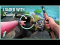 Download Lagu I Found a Hidden Tautog Hotspot in the Jetty Rocks!