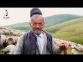 Download Lagu Coborâtul oilor din munții Retezat | 180 de oi OTRĂVITE | Vorba dulce mult aduce Ep.5