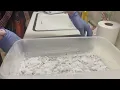 Introducing Fruiting Conditions Episode 4